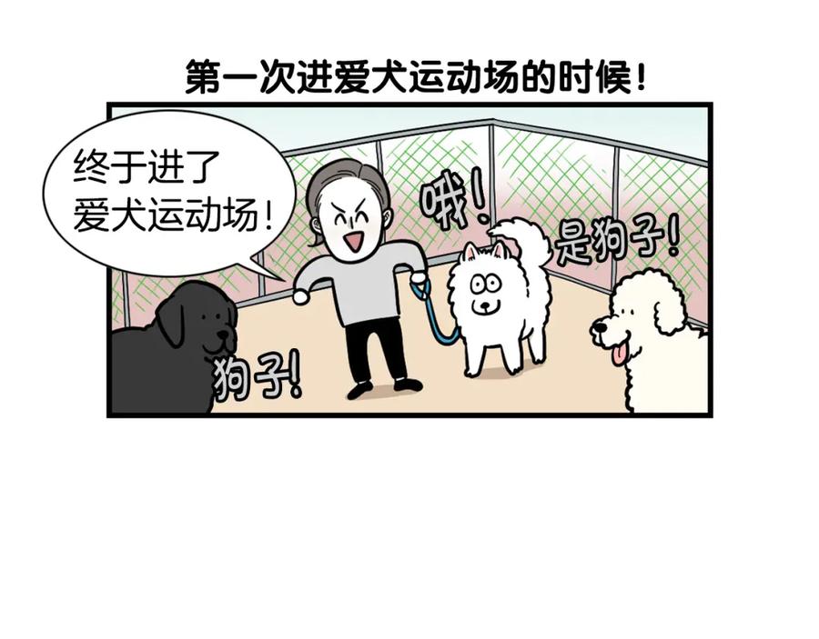 《我的狗子叫棉花》第55话 社恐狗狗 第12页