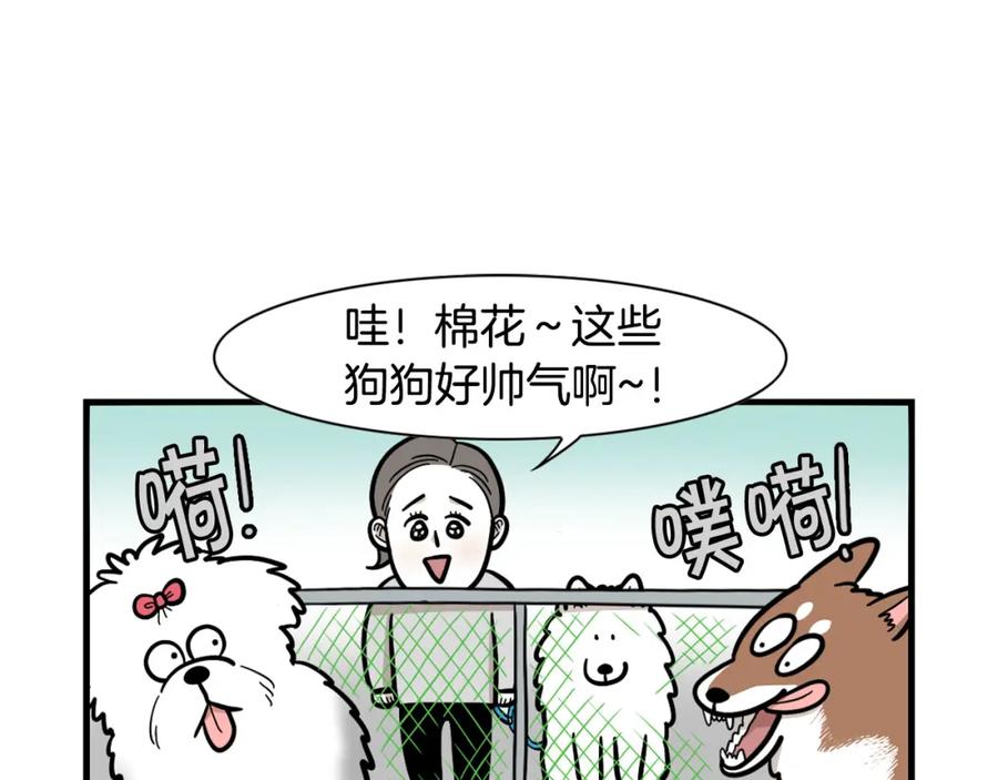 《我的狗子叫棉花》第55话 社恐狗狗 第6页