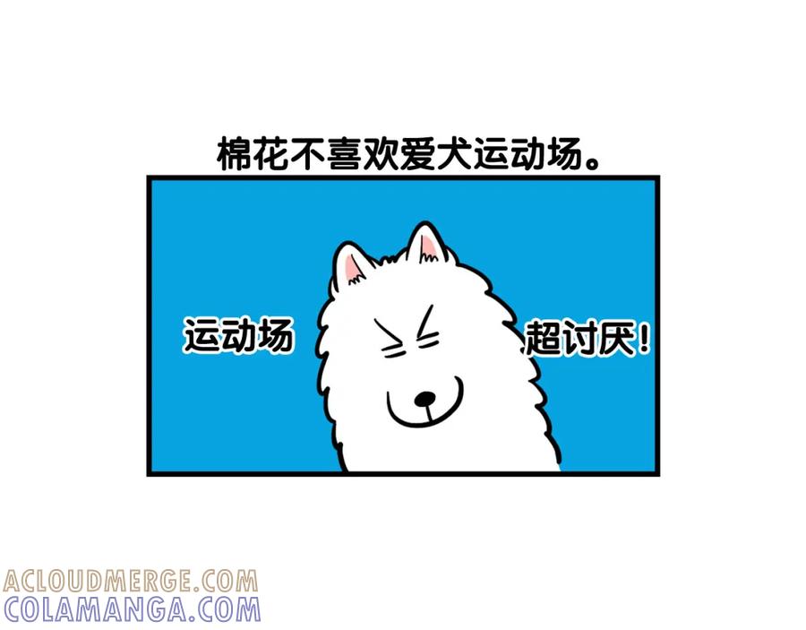 《我的狗子叫棉花》第55话 社恐狗狗 第10页