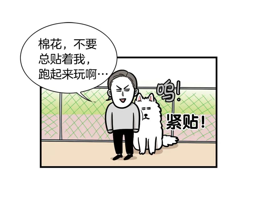 《我的狗子叫棉花》第55话 社恐狗狗 第39页