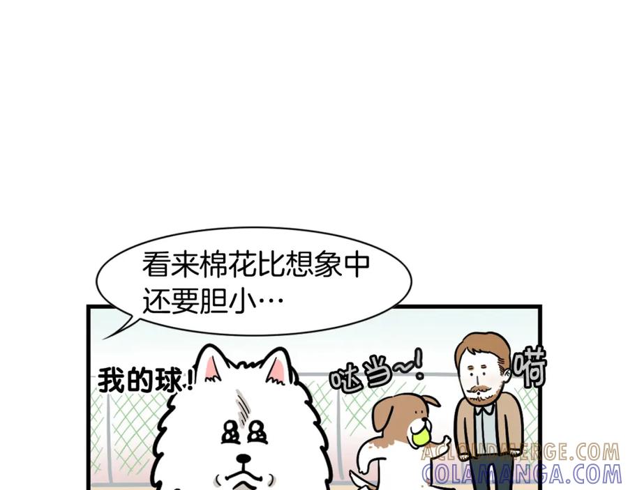 《我的狗子叫棉花》第55话 社恐狗狗 第31页