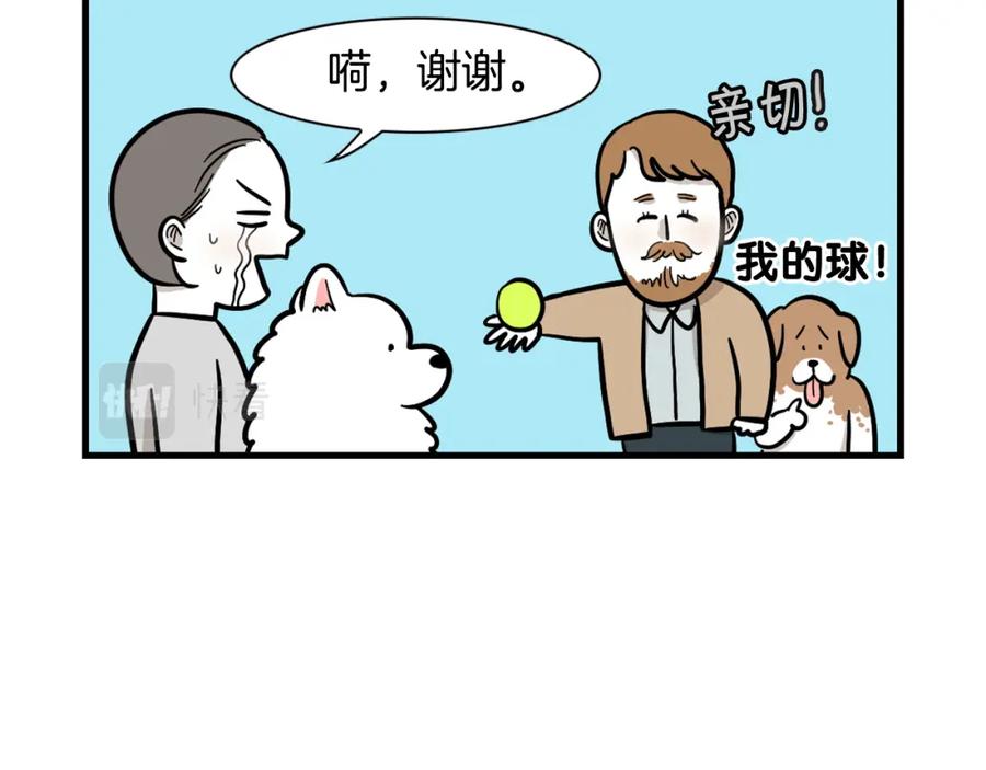 《我的狗子叫棉花》第55话 社恐狗狗 第33页