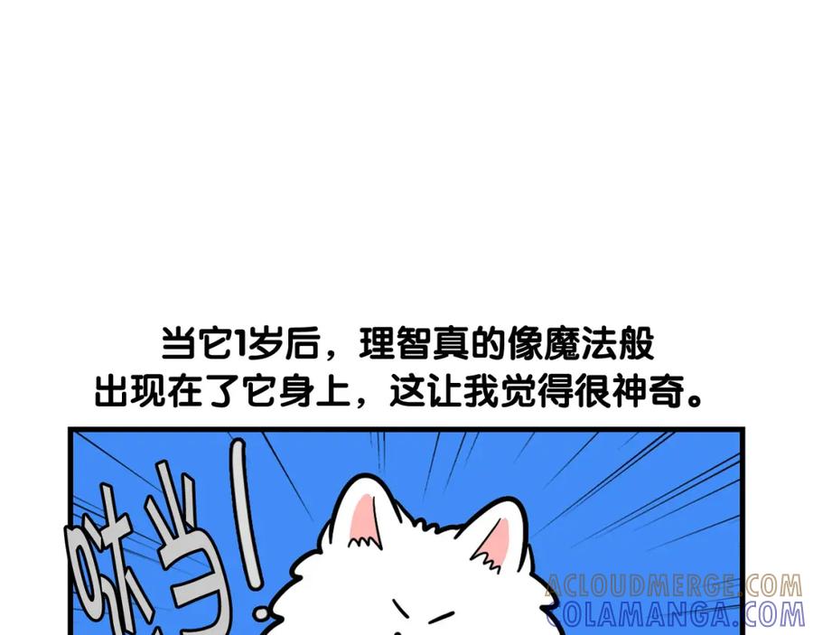 《我的狗子叫棉花》第56话 心肝肝～ 第37页