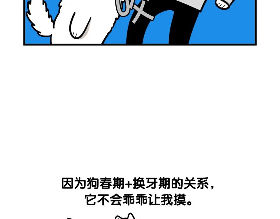 《我的狗子叫棉花》第56话 心肝肝～ 第29页