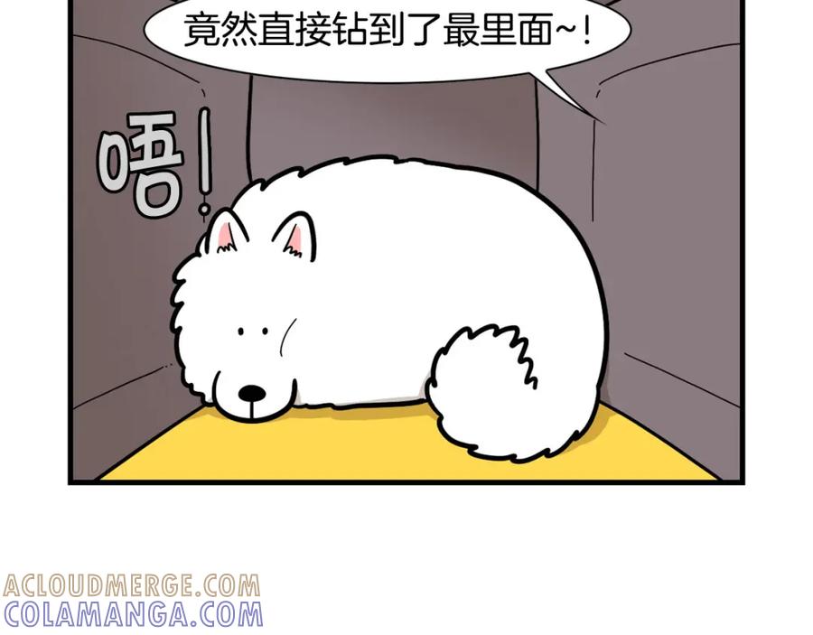 《我的狗子叫棉花》第56话 心肝肝～ 第73页