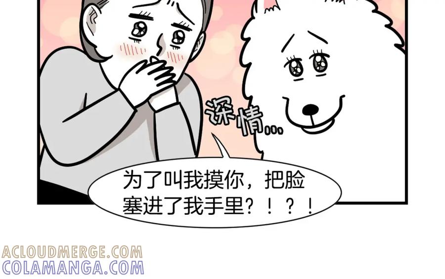 《我的狗子叫棉花》第56话 心肝肝～ 第22页