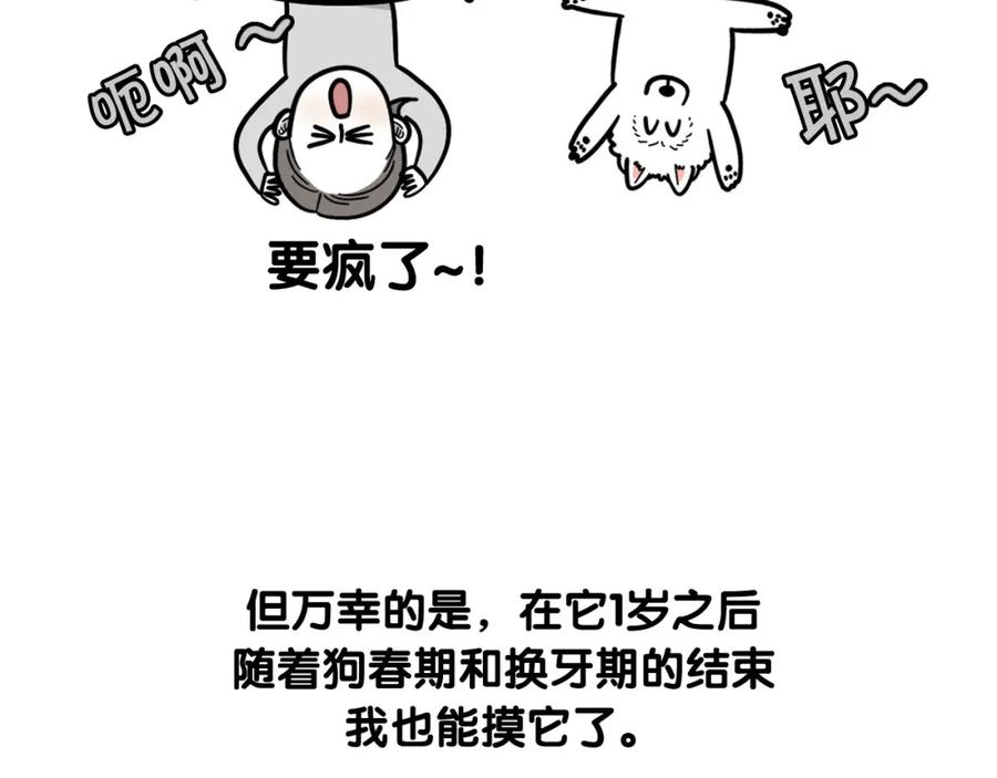 《我的狗子叫棉花》第56话 心肝肝～ 第33页