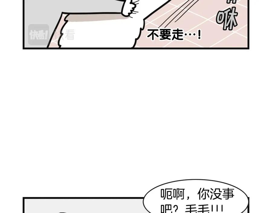 《我的狗子叫棉花》第57话 金丝熊 第36页
