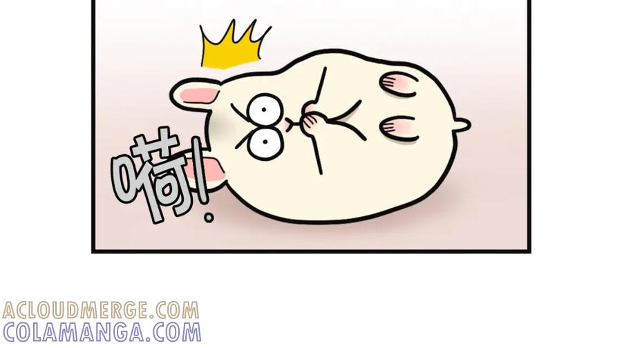 《我的狗子叫棉花》第57话 金丝熊 第34页