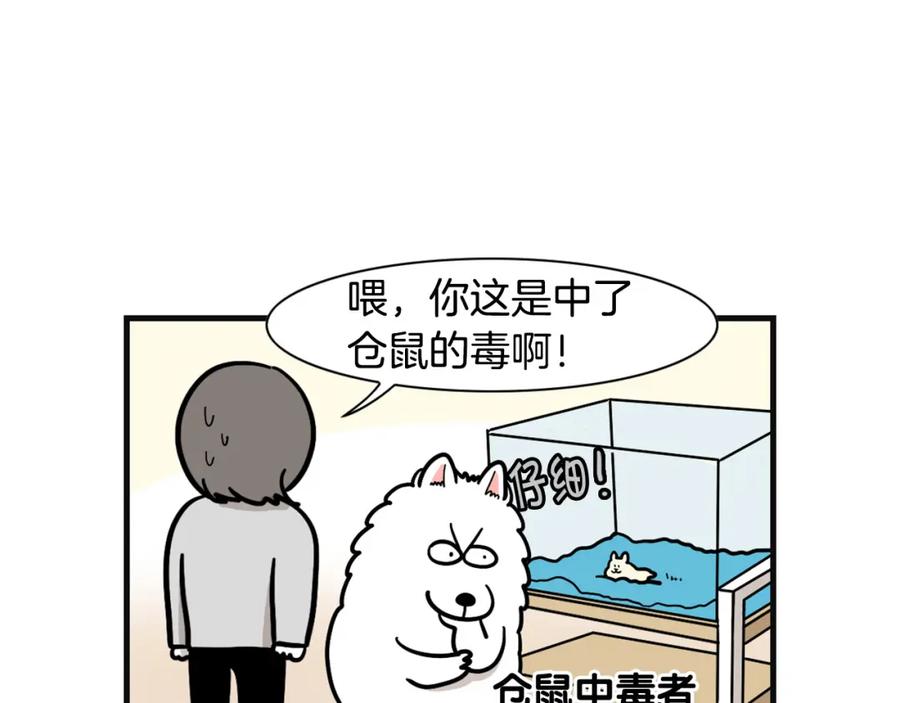《我的狗子叫棉花》第57话 金丝熊 第66页