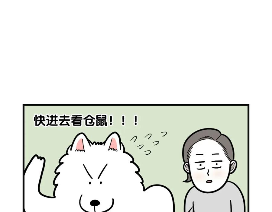《我的狗子叫棉花》第57话 金丝熊 第63页