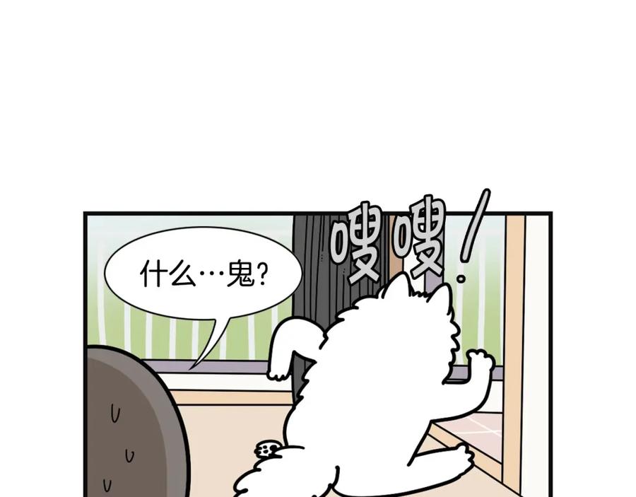 《我的狗子叫棉花》第57话 金丝熊 第14页