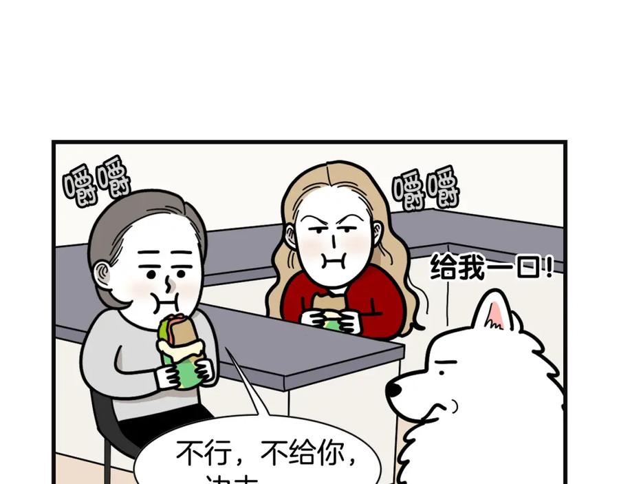《我的狗子叫棉花》第57话 金丝熊 第8页