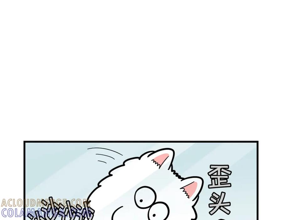 《我的狗子叫棉花》第57话 金丝熊 第49页