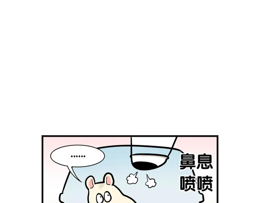 《我的狗子叫棉花》第57话 金丝熊 第75页