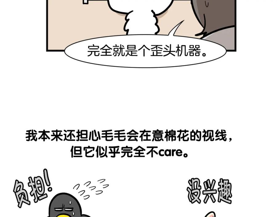 《我的狗子叫棉花》第57话 金丝熊 第53页