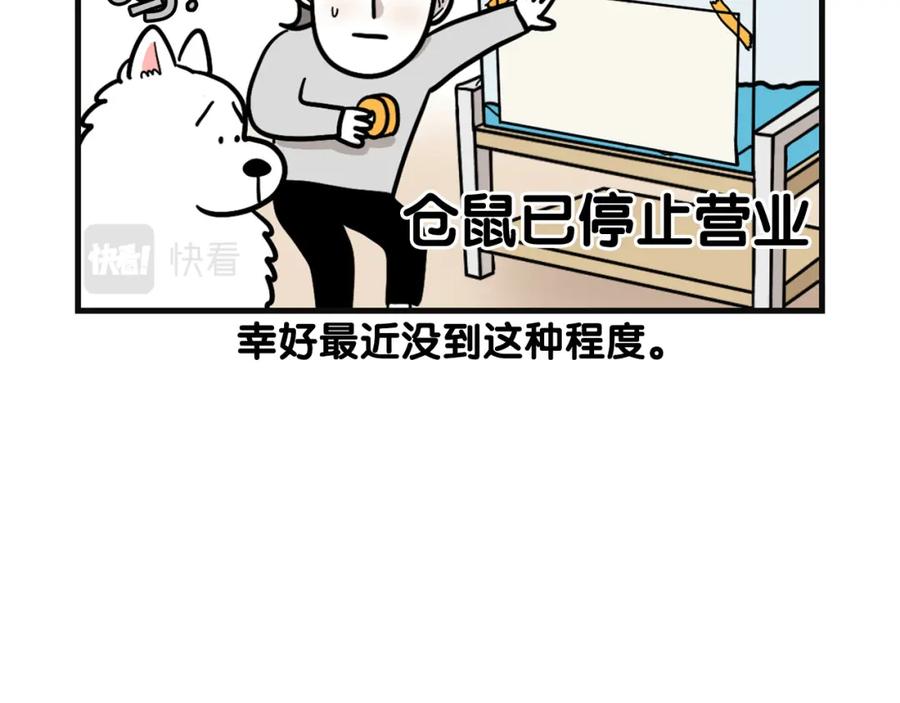 《我的狗子叫棉花》第57话 金丝熊 第68页
