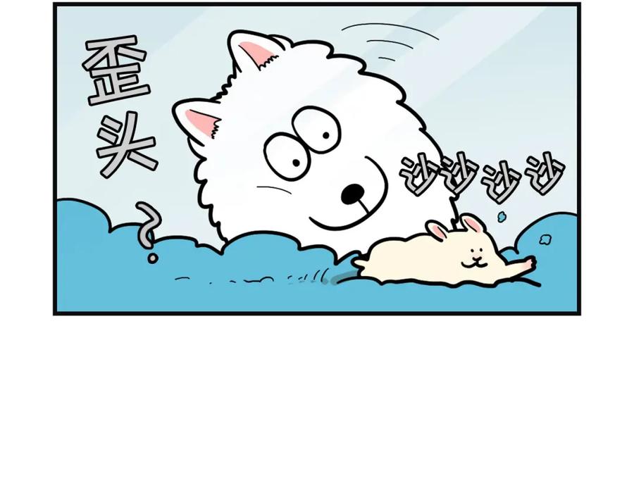 《我的狗子叫棉花》第57话 金丝熊 第51页