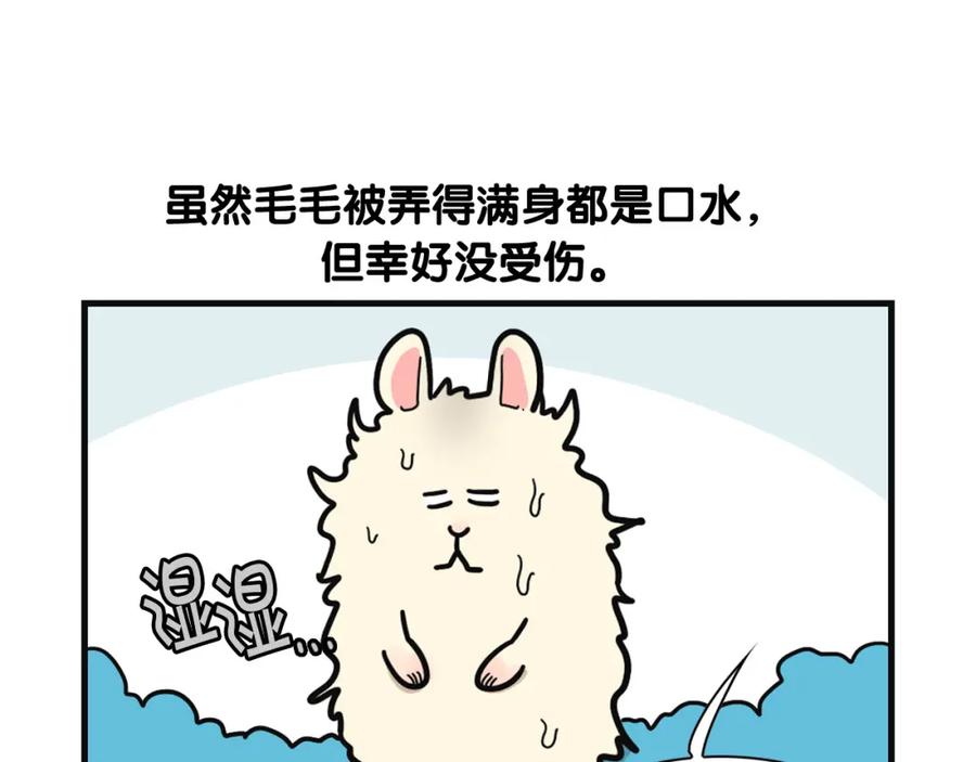 《我的狗子叫棉花》第57话 金丝熊 第38页