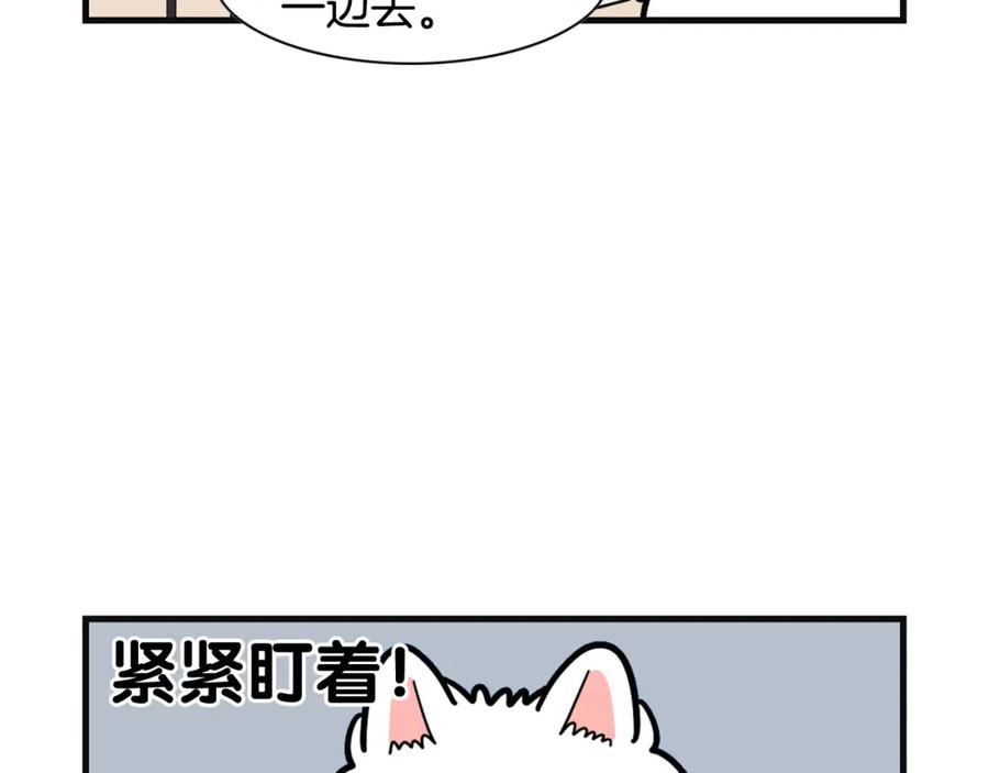 《我的狗子叫棉花》第57话 金丝熊 第9页