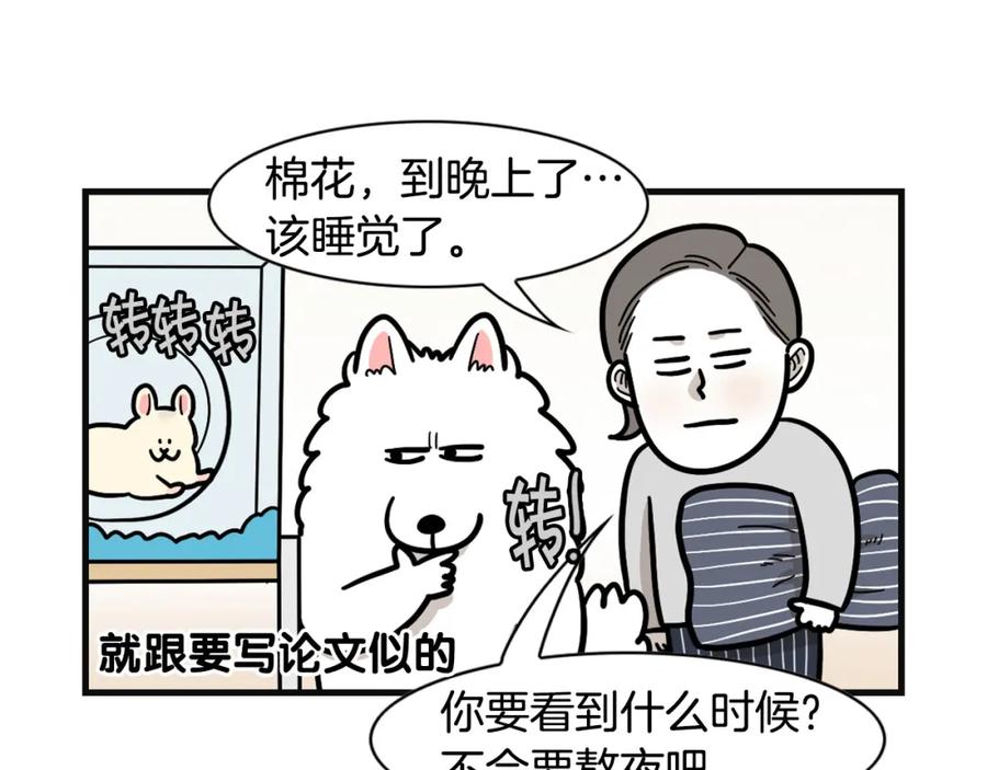 《我的狗子叫棉花》第57话 金丝熊 第56页