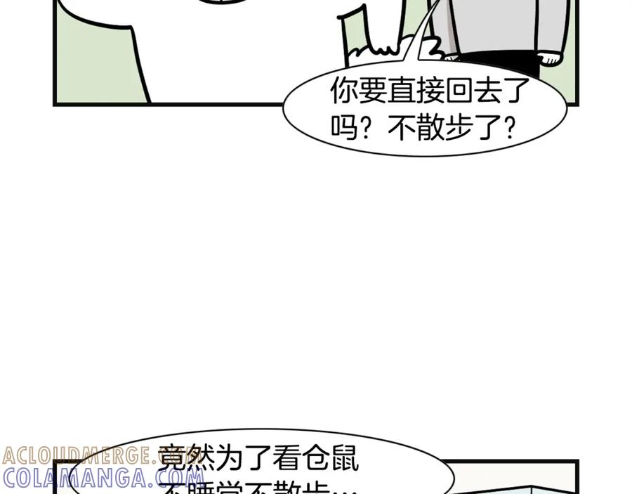 《我的狗子叫棉花》第57话 金丝熊 第64页