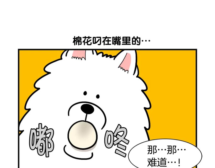 《我的狗子叫棉花》第57话 金丝熊 第27页