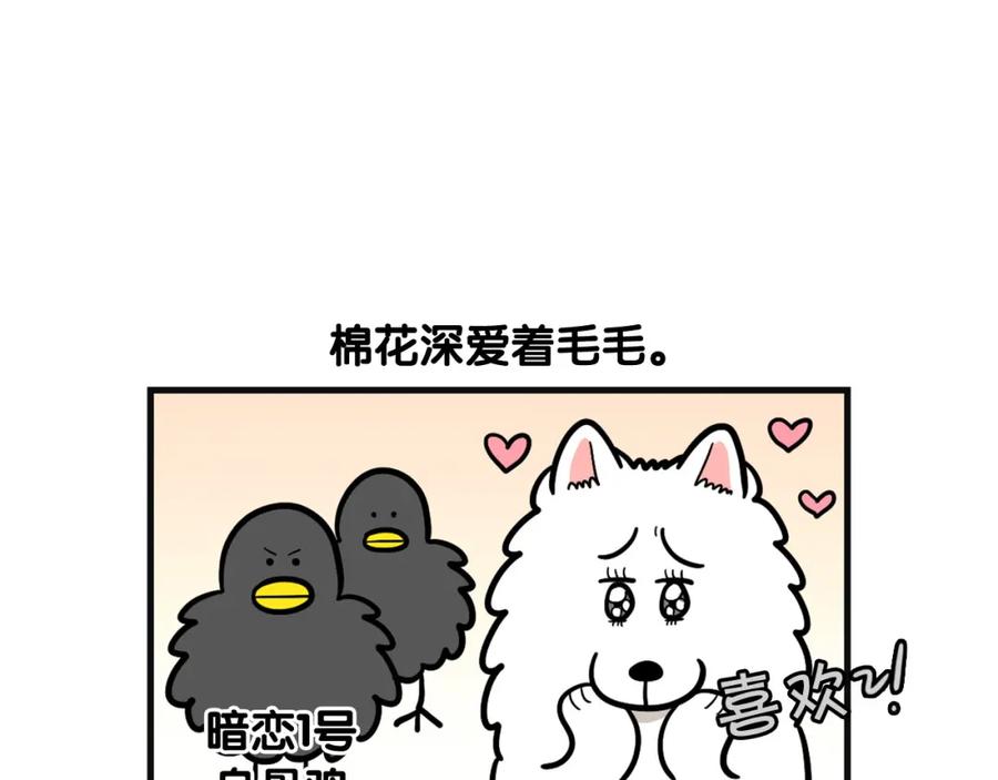 《我的狗子叫棉花》第57话 金丝熊 第45页