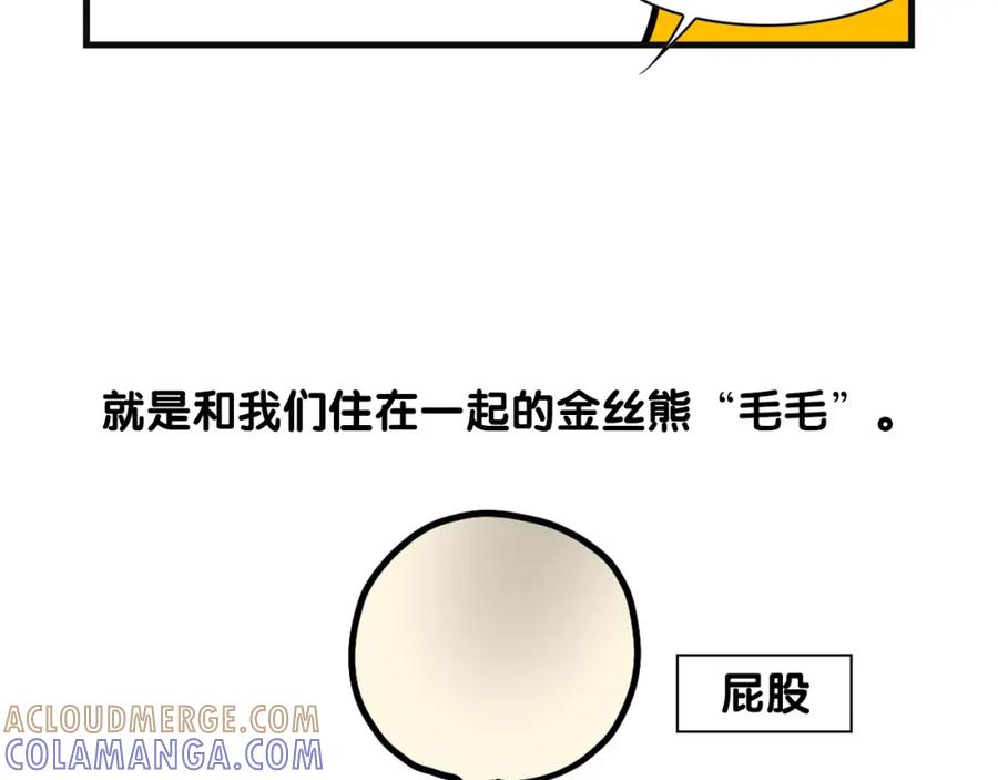 《我的狗子叫棉花》第57话 金丝熊 第28页