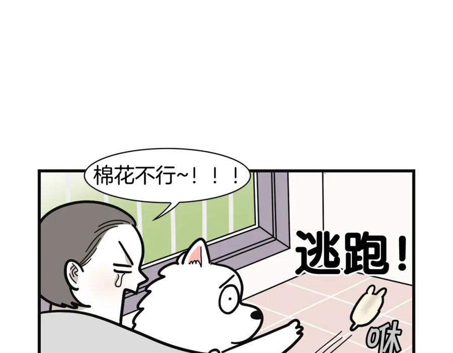 《我的狗子叫棉花》第57话 金丝熊 第35页