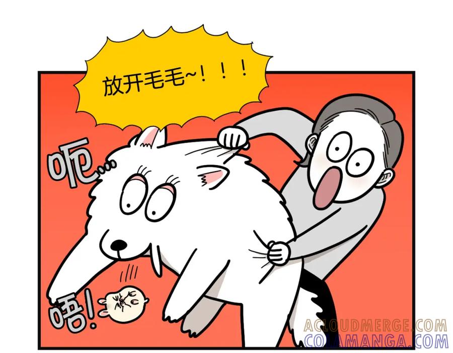 《我的狗子叫棉花》第57话 金丝熊 第31页