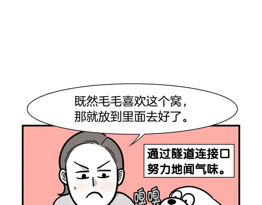 《我的狗子叫棉花》第57话 金丝熊 第71页