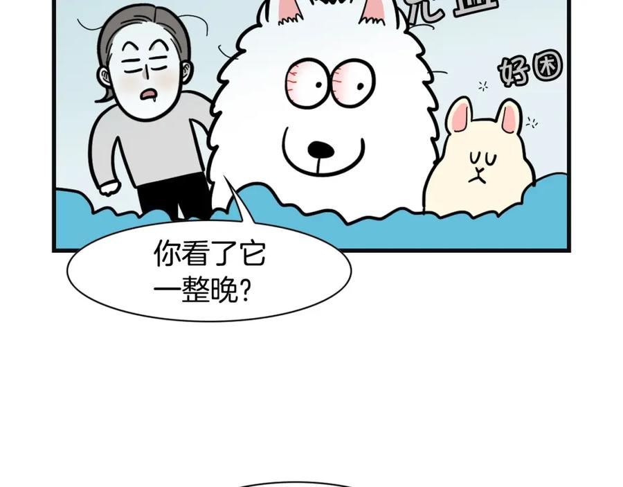 《我的狗子叫棉花》第57话 金丝熊 第60页