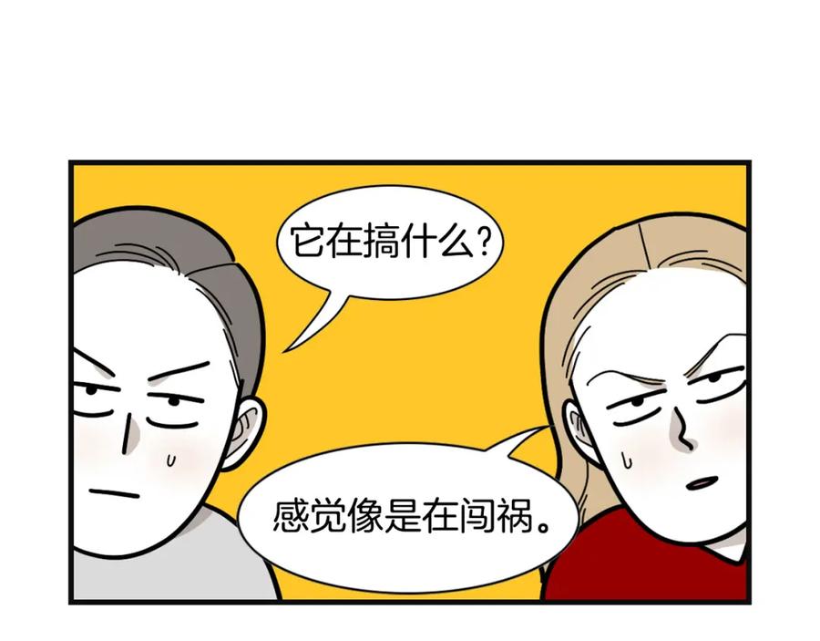 《我的狗子叫棉花》第57话 金丝熊 第20页