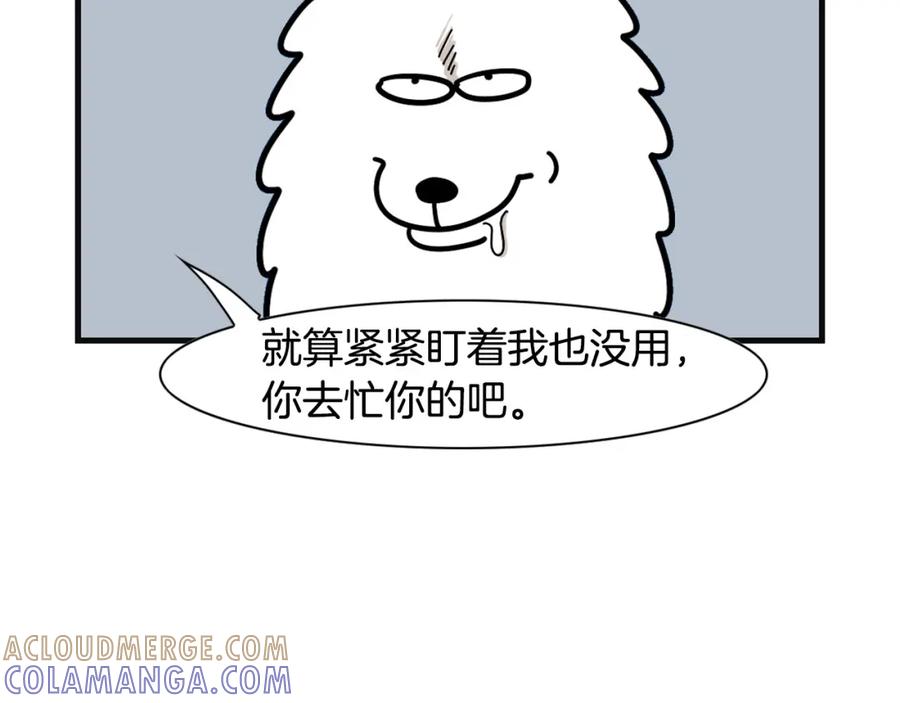 《我的狗子叫棉花》第57话 金丝熊 第10页