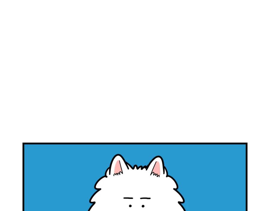 《我的狗子叫棉花》第57话 金丝熊 第5页