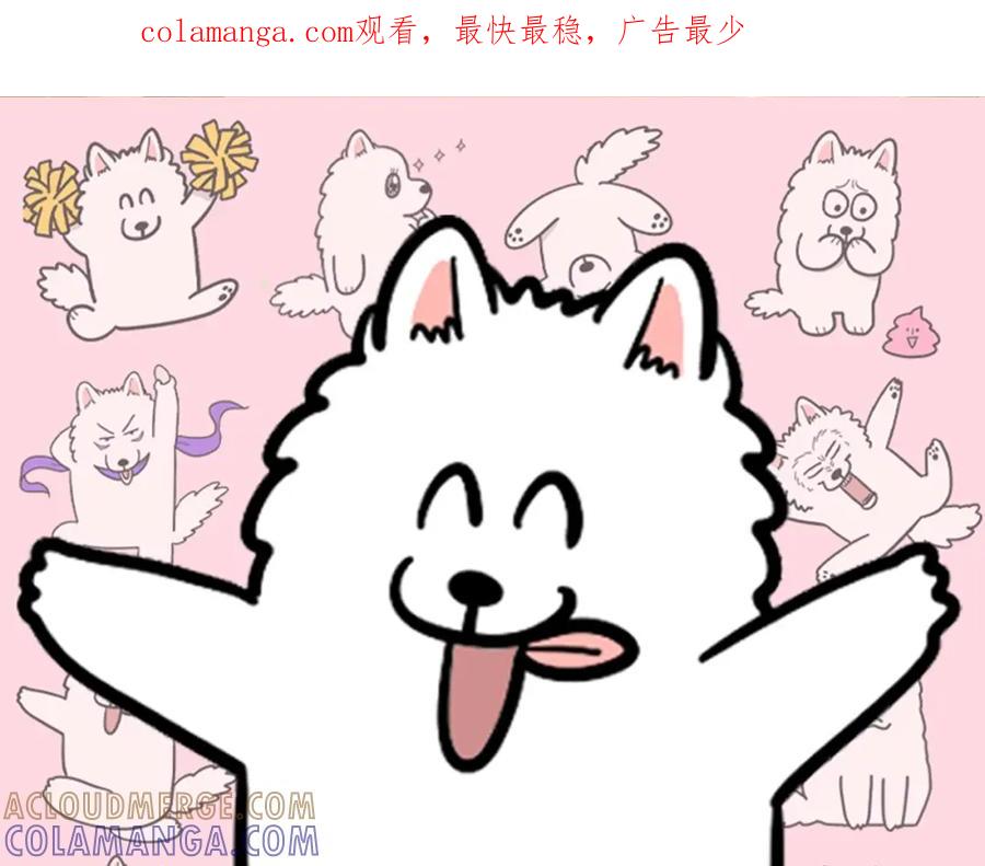 《我的狗子叫棉花》第57话 金丝熊 第1页