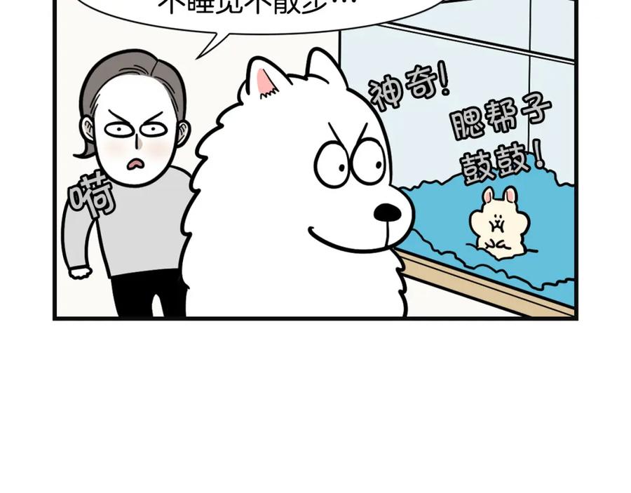 《我的狗子叫棉花》第57话 金丝熊 第65页