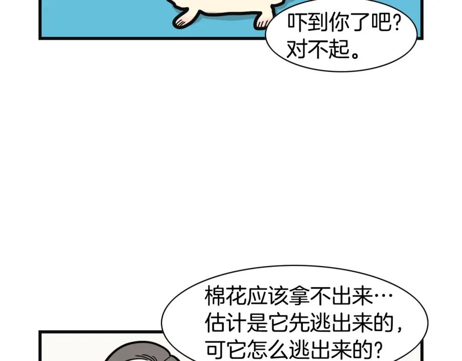 《我的狗子叫棉花》第57话 金丝熊 第39页