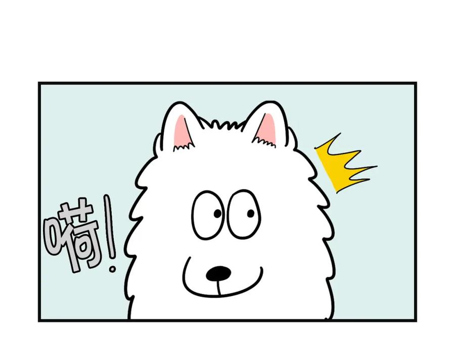 《我的狗子叫棉花》第57话 金丝熊 第11页