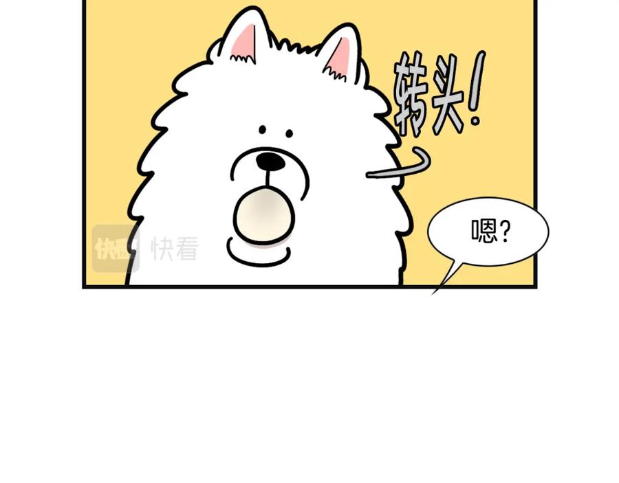 《我的狗子叫棉花》第57话 金丝熊 第26页