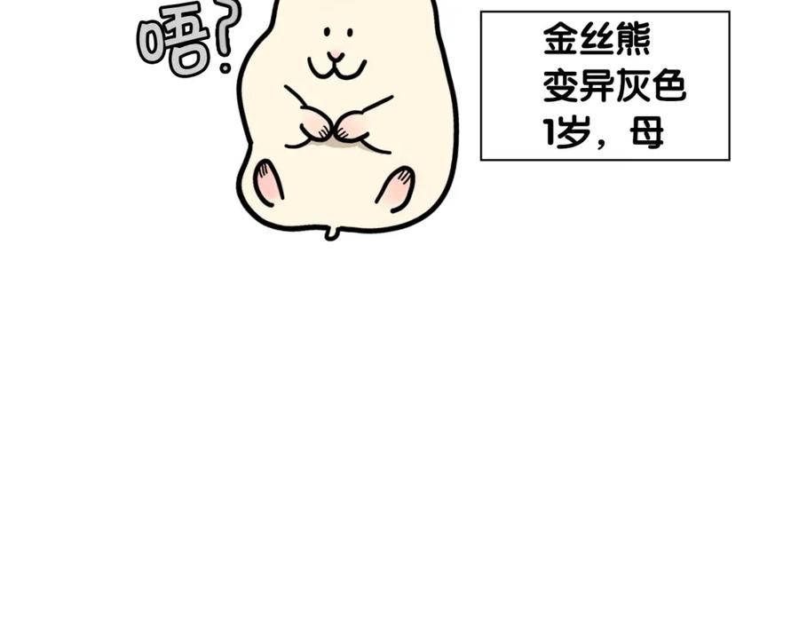 《我的狗子叫棉花》第57话 金丝熊 第30页