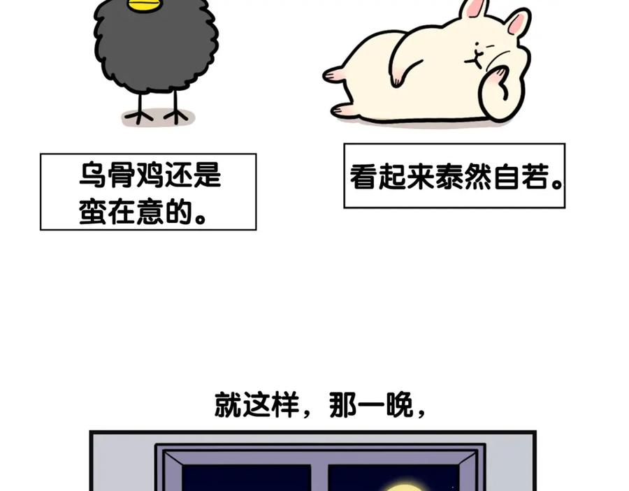 《我的狗子叫棉花》第57话 金丝熊 第54页