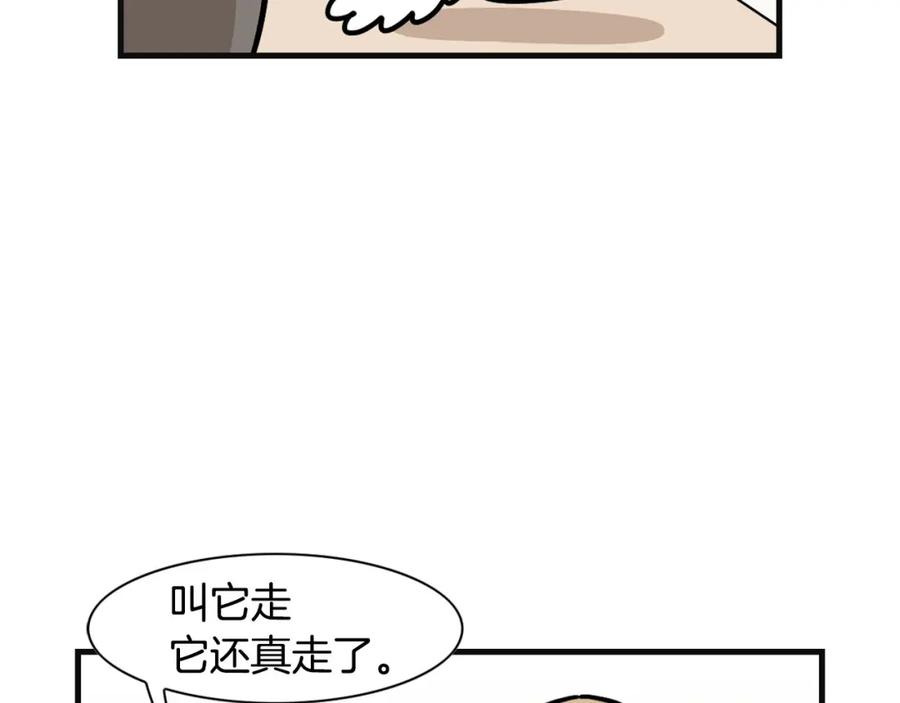 《我的狗子叫棉花》第57话 金丝熊 第15页