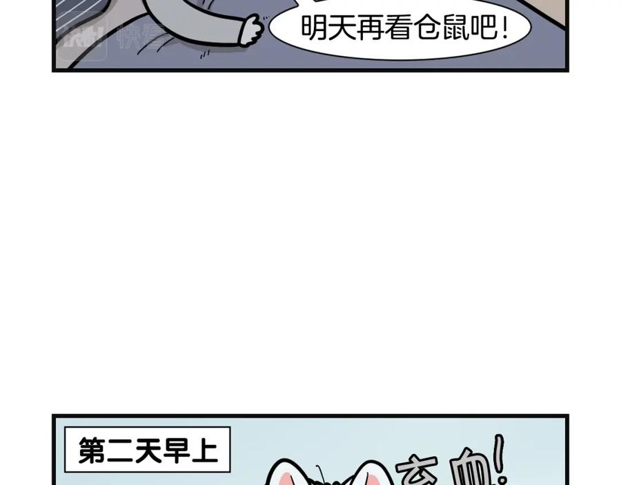 《我的狗子叫棉花》第57话 金丝熊 第59页
