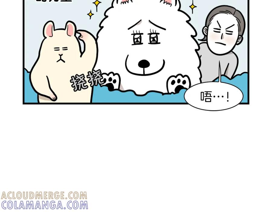 《我的狗子叫棉花》第57话 金丝熊 第43页