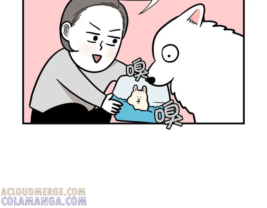 《我的狗子叫棉花》第57话 金丝熊 第73页
