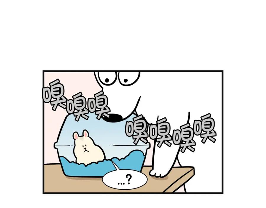 《我的狗子叫棉花》第57话 金丝熊 第74页