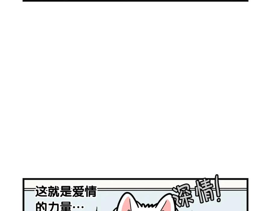 《我的狗子叫棉花》第57话 金丝熊 第42页