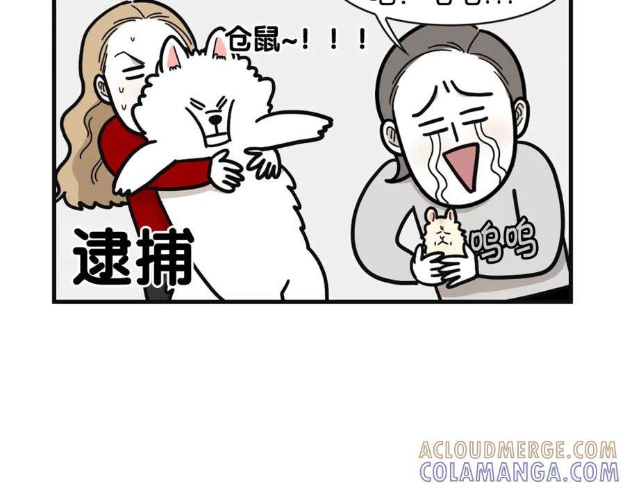 《我的狗子叫棉花》第57话 金丝熊 第37页